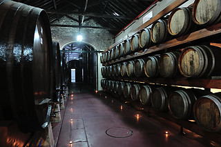 Visita à Adega + Prova de 5 Vinhos + Produtos Regionais para 2 | Adega Venâncio da Costa Lima, Quinta do Anjo (Palmela)
