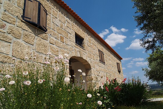 QUINTA DOS TERMOS - photo 0