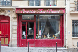 Orchidée thaï beauté