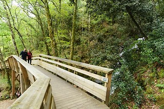 Tour de Jipe 4x4 + Entrada em museu e visita à Ponte 516 Arouca para 1 | NaTour Way