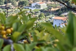 Raposa Verde - Agroturismo