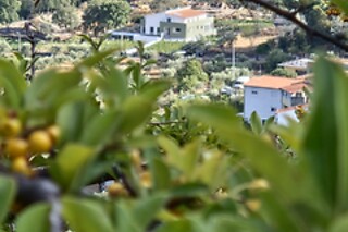 Uma noite em quarto familiar com pequeno-almoço | Raposa Verde - Agroturismo (Pegarinhos, Vila Real)