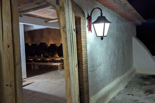 Visita à Vinha com prova de 2 vinhos (2h30) + Tábua de petiscos para 1 | Adega Malápio (Aguada de Baixo, Águeda)