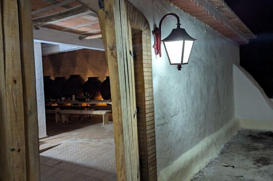 Visita à Vinha com prova de 2 vinhos (2h30) + Tábua de petiscos para 1 | Adega Malápio (Aguada de Baixo, Águeda)