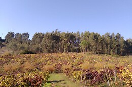 Malápio