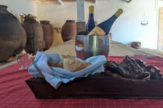 Visita à Vinha com prova de 2 vinhos (2h30) + Tábua de petiscos para 1 | Adega Malápio (Aguada de Baixo, Águeda)