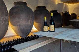 Visita à Vinha com prova de 2 vinhos (2h30) + Tábua de petiscos para 1 | Adega Malápio (Aguada de Baixo, Águeda)