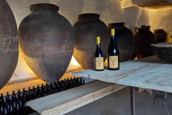 Visita à Vinha com prova de 2 vinhos (2h30) + Tábua de petiscos para 1 | Adega Malápio (Aguada de Baixo, Águeda)