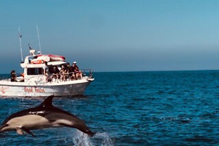 Cruzeiro pelas praias secretas de Sesimbra  | 2 Pessoas - 1h30 | Batnavó - Sesimbra