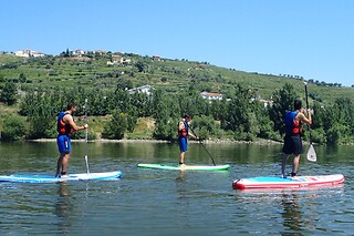 Stand Up Paddle no Rio Douro com a Naturimont | Para 1 pessoa (Peso da Régua)
