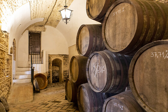 PUERTO DE INDIAS - photo 0
