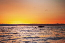 Ocean View - Boat Trips & Tours