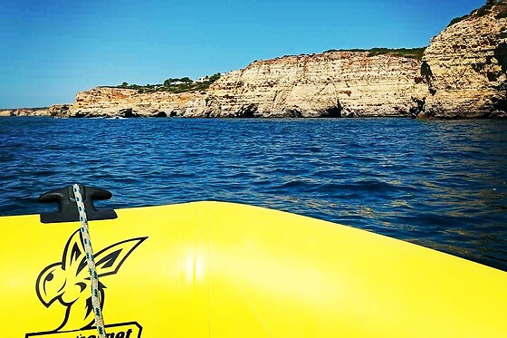 Observação de Golfinhos para 1 | Ocean View - Boat Trips & Tours (Lagos)