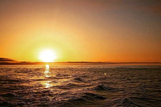 Passeio de barco ao pôr do sol em Lagos para 1 | Ocean View - Boat Trips & Tours (Lagos)