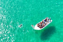 Ocean View - Boat Trips & Tours