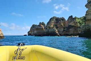 Observação de Golfinhos para 1 | Ocean View - Boat Trips & Tours (Lagos)