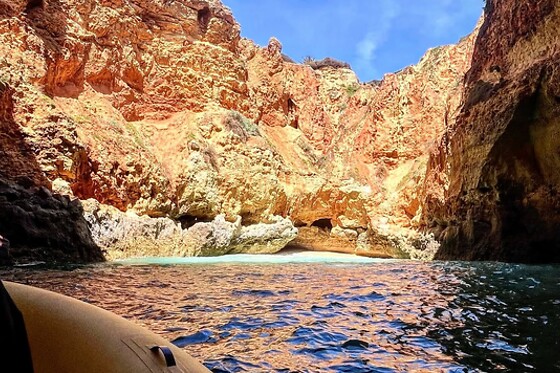 Ocean View - Boat Trips & Tours - photo 20