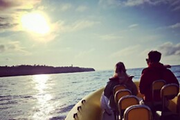 Ocean View - Boat Trips & Tours