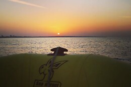 Ocean View - Boat Trips & Tours