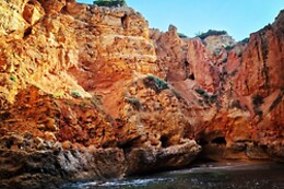 Ocean View - Boat Trips & Tours