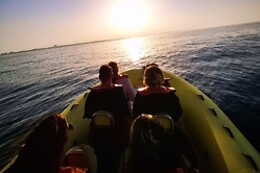 Ocean View - Boat Trips & Tours