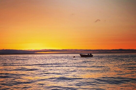 Passeio de barco ao pôr do sol em Lagos para 1 | Ocean View - Boat Trips & Tours (Lagos)