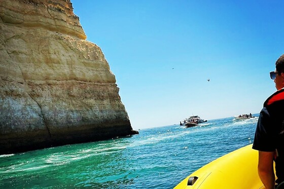Observação de Golfinhos para 1 | Ocean View - Boat Trips & Tours (Lagos)