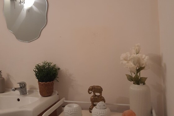 Terapeuta Marcelo Linhares - photo 2