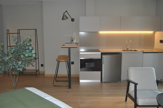 ZALLE OVIEDO SUITES - photo 5