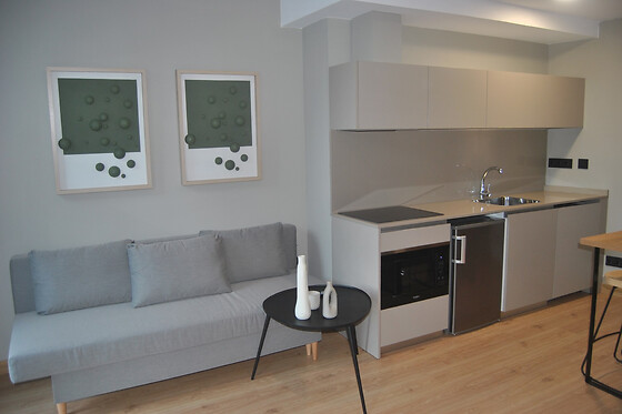 ZALLE OVIEDO SUITES - photo 7