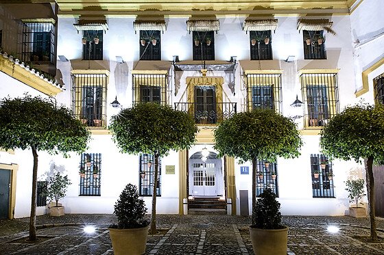 HOTEL HOSPES LAS CASAS DEL REY DE BAEZA - photo 10