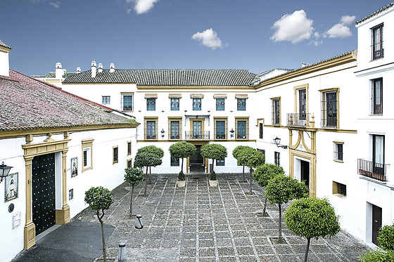 HOTEL HOSPES LAS CASAS DEL REY DE BAEZA - photo 7