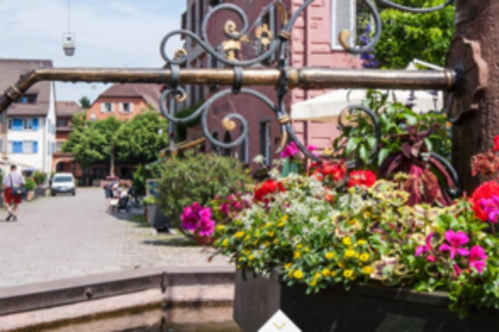 Goethe Schwarzwald Boutiquehotel - photo 2