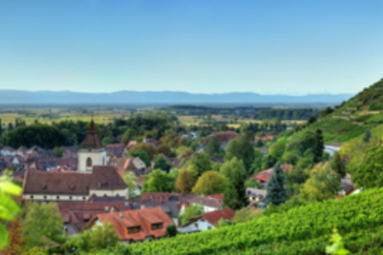 Goethe Schwarzwald Boutiquehotel - photo 5