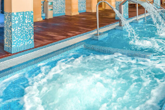 CENTRO DE SALUD Y BELLEZA SH VIA GADEA SALUX THALASSO-SPA ALTEA - photo 11