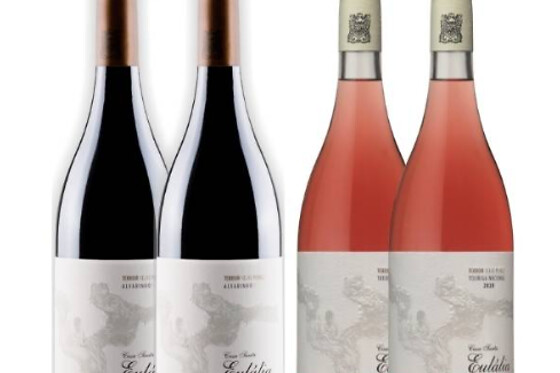 Prova de vinhos Premium com tábua de queijos e enchidos para 2 | Casa Santa Eulália (Mondim de Basto, Vila Real)