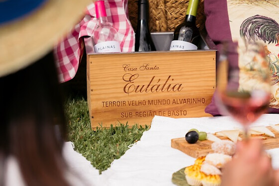 Prova de vinhos Premium com tábua de queijos e enchidos para 2 | Casa Santa Eulália (Mondim de Basto, Vila Real)