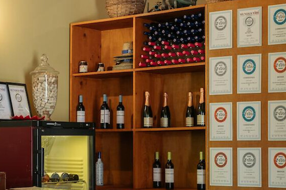 Prova de vinhos Premium com tábua de queijos e enchidos para 2 | Casa Santa Eulália (Mondim de Basto, Vila Real)