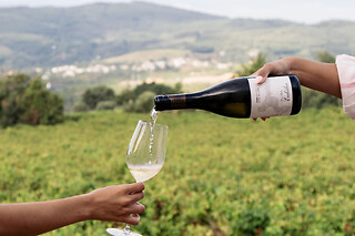 Prova de vinhos Premium com tábua de queijos e enchidos para 2 | Casa Santa Eulália (Mondim de Basto, Vila Real)