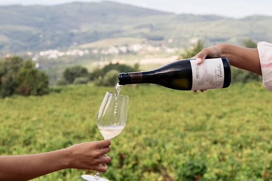 Prova de vinhos Premium com tábua de queijos e enchidos para 2 | Casa Santa Eulália (Mondim de Basto, Vila Real)
