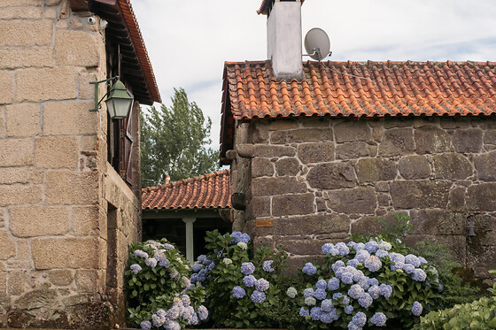 Prova de vinhos Premium com tábua de queijos e enchidos para 2 | Casa Santa Eulália (Mondim de Basto, Vila Real)
