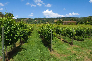 Prova de vinhos Premium com tábua de queijos e enchidos para 2 | Casa Santa Eulália (Mondim de Basto, Vila Real)