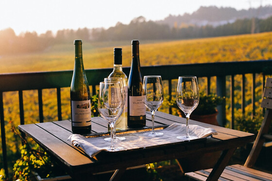 Prova de 7 Vinhos + Visita + Percurso Pedestre para 2 | Casa de Vilacetinho (Alpendorada, Marco de Canaveses)