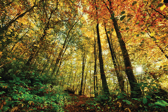 Eco Life Experience - Fuga Perfeita - photo 8