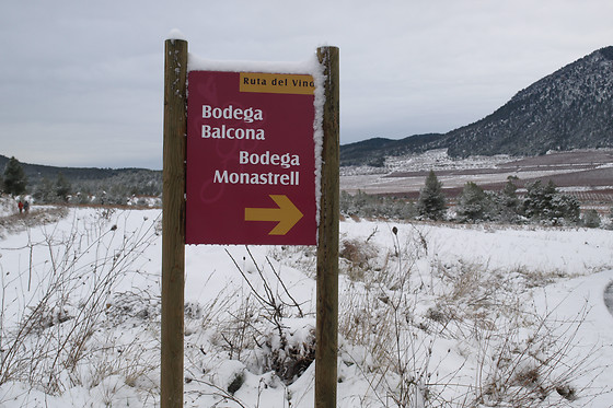 BODEGA MONASTRELL - photo 2