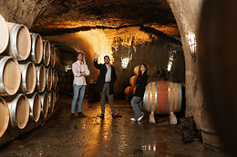 VIÑEDOS Y BODEGAS SIERRA CANTABRIA