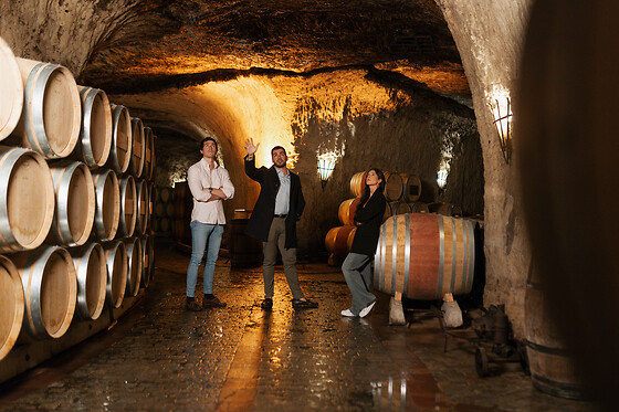 VIÑEDOS Y BODEGAS SIERRA CANTABRIA - photo 4