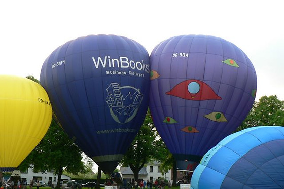 Pearl Balloon - photo 3