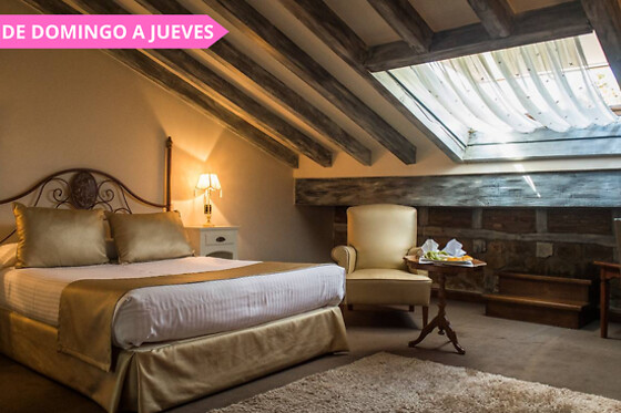 HOTEL CASA DEL MARQUES - photo 6