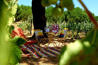 PicNic na Vinha para 2 | Herdade Canal Caveira (Grândola, Setúbal)